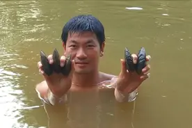 “河里的生蚝”满满的童年味道，摸河蚌只有农村才有的记忆