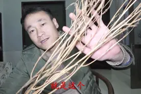 1岁宝宝拉稀1月不止！85岁老人送来一种野草，没想到立马见效视频封面
