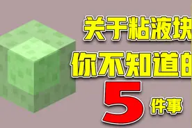 我的世界：粘液块你不知道的五件事，原来跳了这么多年还能这样！