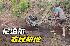 尼泊尔山区农村人怎么耕地、种粮食？做法和中国农村有什么区别？视频封面