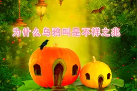 民间故事——为什么乌鸦叫是不祥之兆视频封面