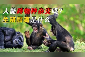 人能跨物种杂交吗，前苏联曾做过实验，最后成功了吗？视频封面