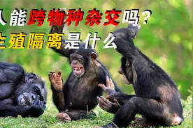 人能跨物种杂交吗，前苏联曾做过实验，最后成功了吗？视频封面