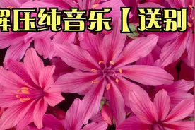 解压纯音乐【送别】长亭外，古道边，芳草碧连天。视频封面
