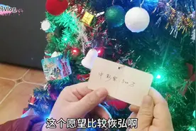 萌爸挂在圣诞树上的心愿卡，看看都是什么愿望，哪个不容易实现？视频封面