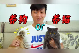 养狗好还是养猫好？这位铲屎官的回答出乎意料！