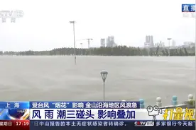 受台风“烟花”影响，上海金山沿海地区风浪急视频封面