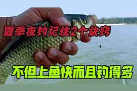 钓鱼：夜钓前半夜好还是后半夜好？实战才是硬道理，看完受益匪浅视频封面