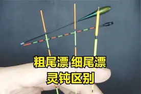 粗尾浮漂和细尾浮漂，钓鱼灵敏度上有无差别？钓友讲解两者区别