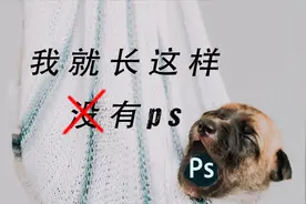 如何辨别图片有没有ps过！视频封面