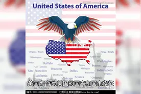 美国国宝鹰视频封面