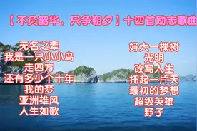 【不负韶华，只争朝夕】十四首励志歌曲《无名之辈》《人生如歌》视频封面
