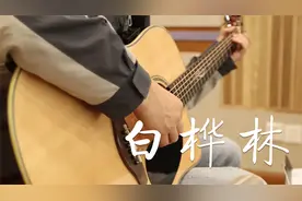朴树《白桦林》吉他弹唱视频封面