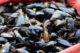 吃海虹中毒?专家：近期不要吃这些产地的贝类海鲜!视频封面