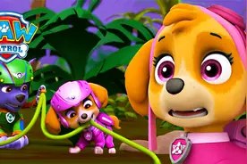 汪汪队立大功：紧急交通现场 狗狗拯救悬崖边的大卡车视频封面