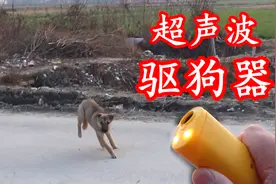 拼多多58元买来的超声波驱狗器，对着农村土狗发射，狗狗撒腿就跑