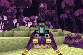 我的世界全新的末地世界，解锁并驯服了隐藏的蛤蟆怪 魔哒解说