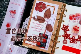 言仓开箱 | 最后一支玫瑰