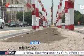 奇葩设计？人行横道装双层护栏，居民：胖点都过不去|今日最新闻视频封面