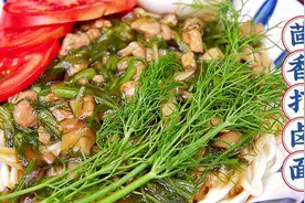 独门手艺茴香打卤面做法，鲜香味浓，太适合夏天吃了，果断收藏！视频封面