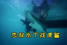 河中巨怪：天堂岛神秘蓝洞，经常出现巨型章鱼把人拖下水中吃掉！