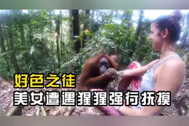 美女与好友林中游玩，却遭遇猩猩劫持抚摸，还想挽留过夜视频封面