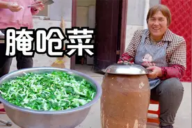 拔些芥末菜，腌一缸呛菜，搭配玉米糁吃美得很！视频封面