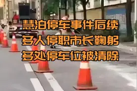 慧泊停车事件后续，多人停职市长鞠躬，多处停车位被清除视频封面