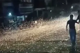 “全是虫！”河南某镇惊现恐怖一幕：飞蛾铺天盖地市民慌忙躲避视频封面