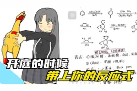 开庭的时候记得带上你的反应式视频封面