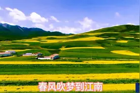 南方山水风光配西北音乐能是啥效果？秦腔《再续红梅缘》李梅演唱视频封面