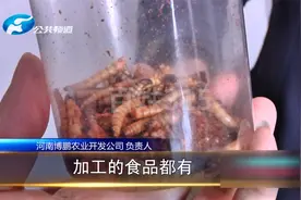 蛋白虫养殖包回收？遇见这模式要小心了！这种好事他自己不干？视频封面