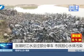 闽侯：乌龙江畔，上千辆共享单车闲置，究竟怎么回事？视频封面