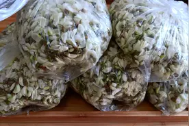 鲜槐花直接冷冻保存，放一年都不坏，做美食和鲜槐花一样美味视频封面