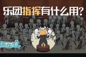 指挥家到底在指挥些什么？视频封面