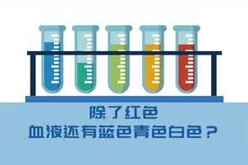 除了红色，血液还有蓝色青色白色？视频封面