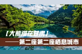 甘肃第二座大熊猫生活的城市，亚热带气候会让你重新认识甘肃！视频封面