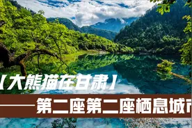 甘肃第二座大熊猫生活的城市，亚热带气候会让你重新认识甘肃！视频封面