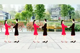 简单广场舞《梦见你的那一夜》双人舞对跳，欢快活泼视频封面