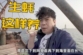 参观海上生蚝农场，原来生蚝是这样长大的