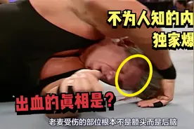 WWE出血事件是如何造成的？莱斯纳救人一命？WWE比赛真相大起底视频封面