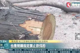 自家的宅基地 房前屋后种的树可以砍吗？专家解答：能种不能伐！视频封面