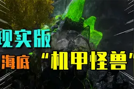 现实版的海底“机甲怪兽”视频封面
