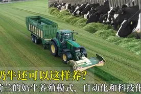 奶牛还可以这样养？荷兰的奶牛养殖模式，全流程自动化和科技化！视频封面