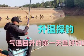 太阳出来了，气温回升的第一天，我们来测试下这鱼好不好钓视频封面