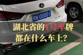 湖北最牛的1号车，共发现13辆，00001都在什么车上？视频封面