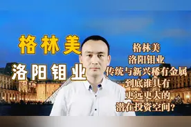 格林美 洛阳钼业 传统与新兴稀有金属 到底谁具有更远投资空间？视频封面