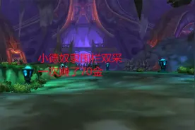 魔兽世界怀旧服：小德奴隶围栏双采，一次赚了70金视频封面