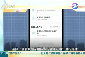 中国版“国际旅行健康证明”上线 打开方式看这里视频封面