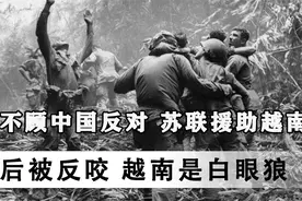 不顾中国反对，苏联援助越南，却被反咬一口，苏军：越南是白眼狼视频封面